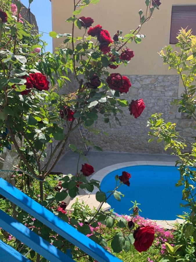 Dalmatian Rustic House Villa Petrčane Dış mekan fotoğraf